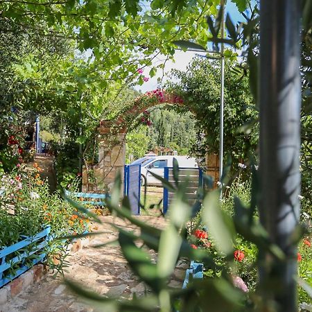 Holiwood Motel Himare Eksteriør bilde